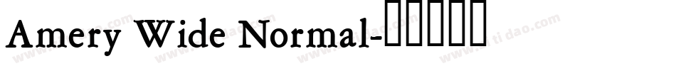 Amery Wide Normal字体转换